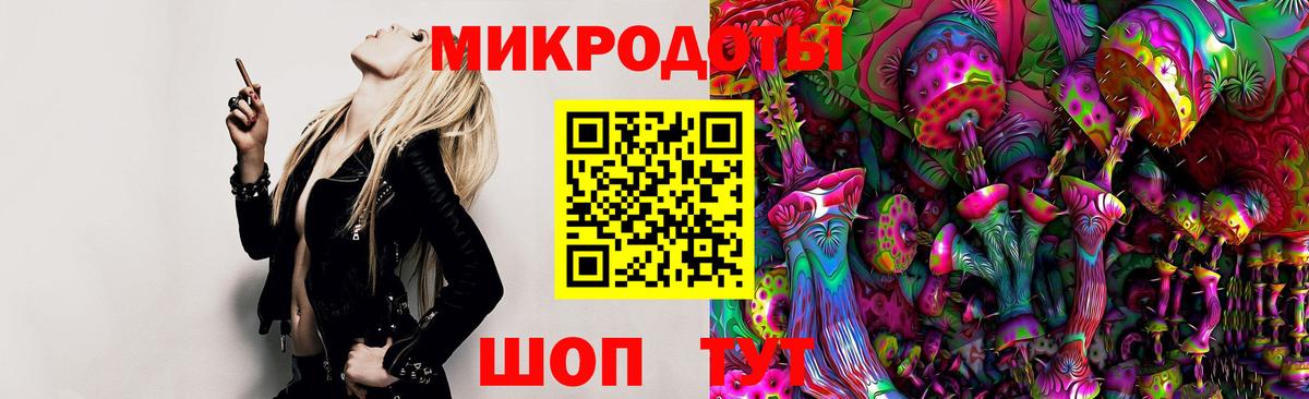 Псилоцибиновые грибы GOLDEN TEACHER Геленджик